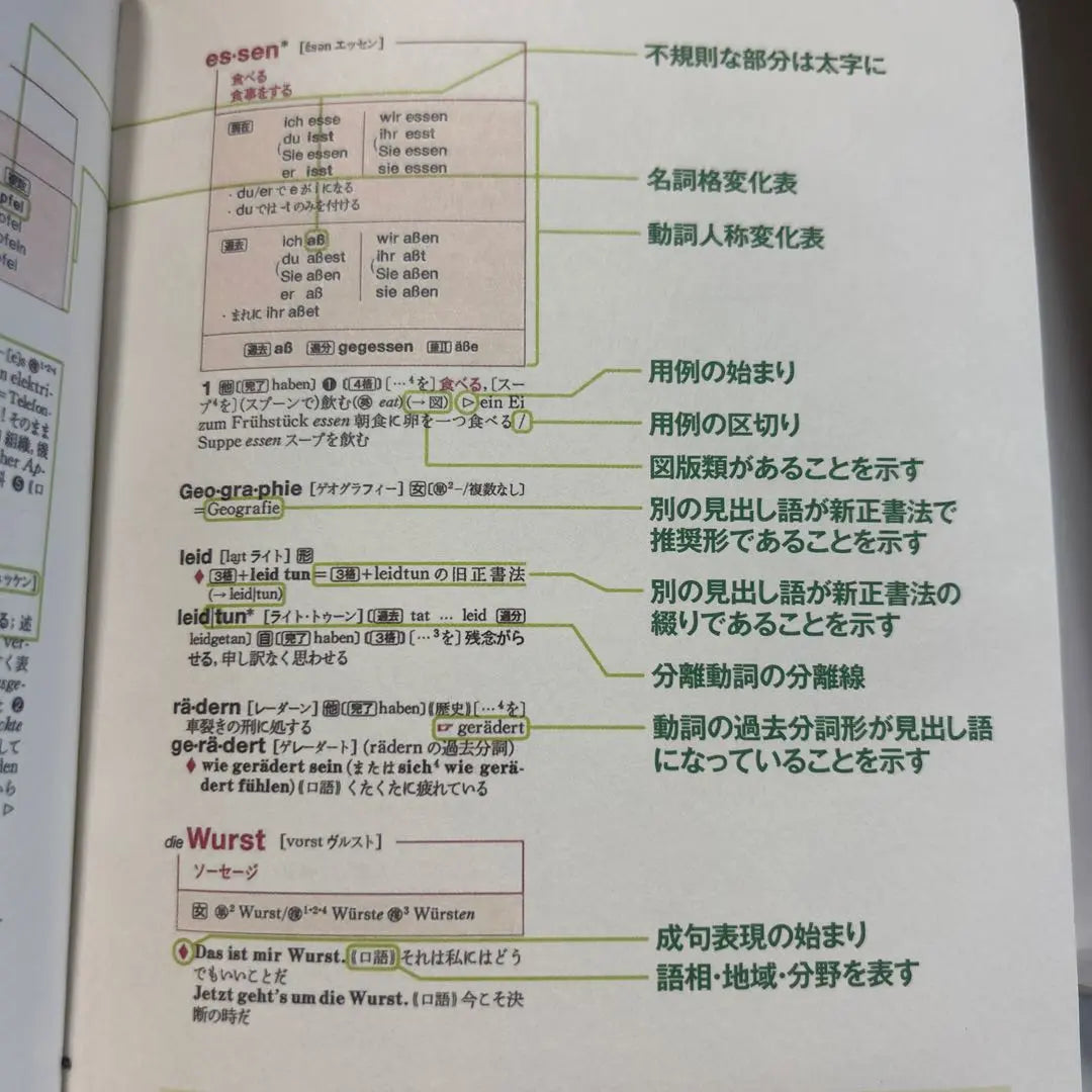 Access German-Japanese Dictionary