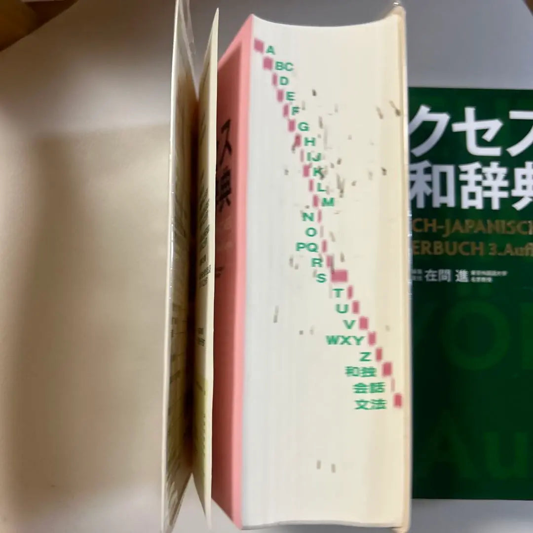 Access German-Japanese Dictionary