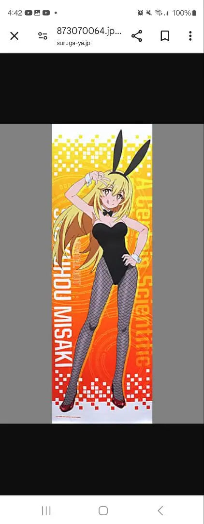 Shokuhachi Minoru Long Tapestry A Certain Scientific Railgun T Online Lottery A-2 Prize