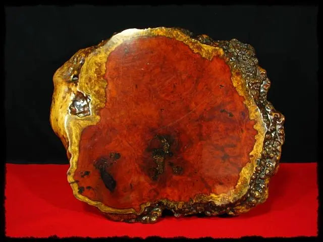 Rosewood Yuye Tumor Zhuo d76