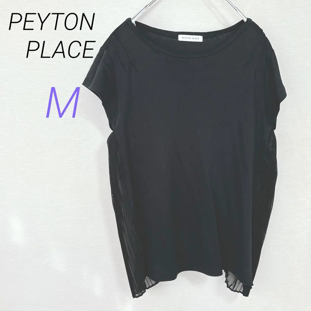 Peyton Place [M] Black, side pleated switch, short sleeve, cut and sew