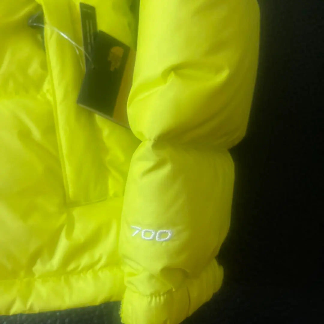 THE NORTH FACE Down Jacket Nupsi US Limited