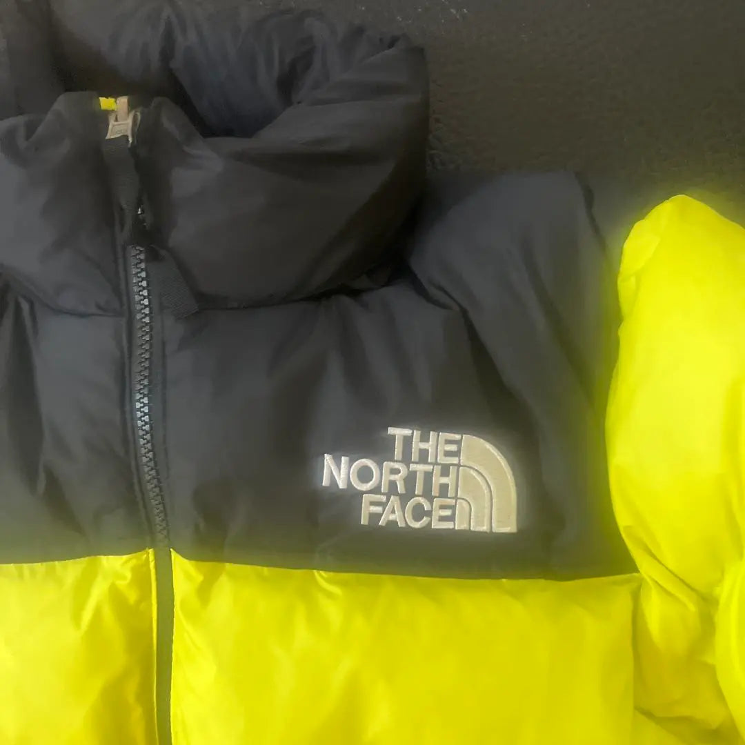 THE NORTH FACE Down Jacket Nupsi US Limited