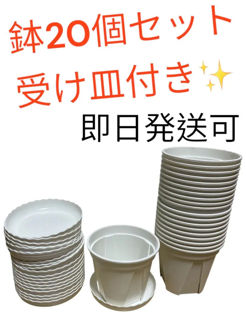 Slit pot Rose pot Flower pot Planter Plastic pot Root pot No. 4 with saucer