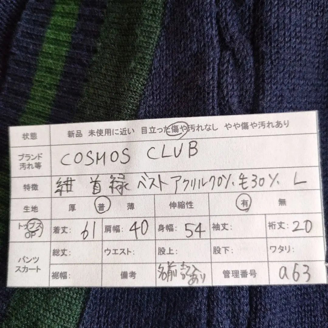 COSMOS CLUB V-neck sweater vest Navy x Green L