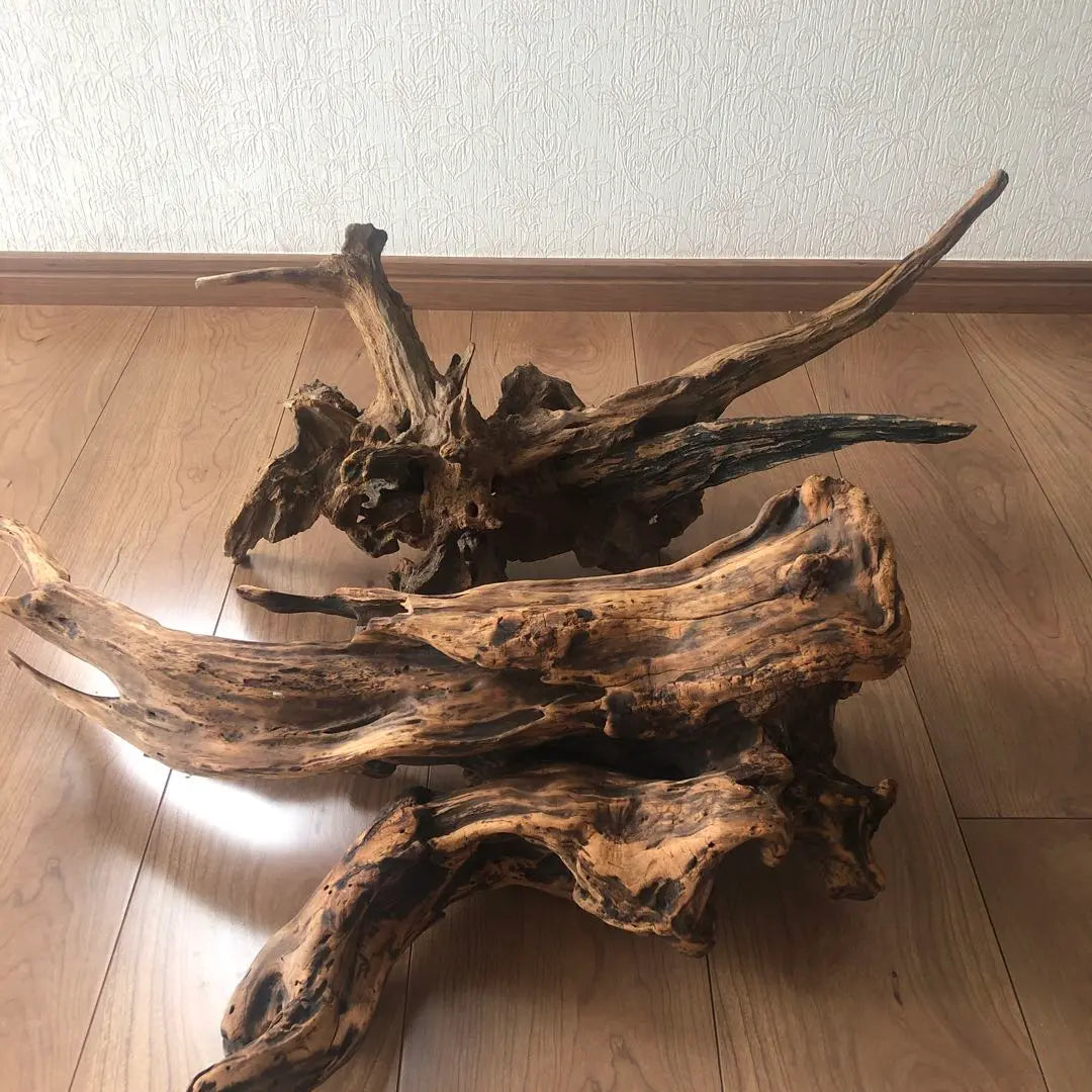 Driftwood