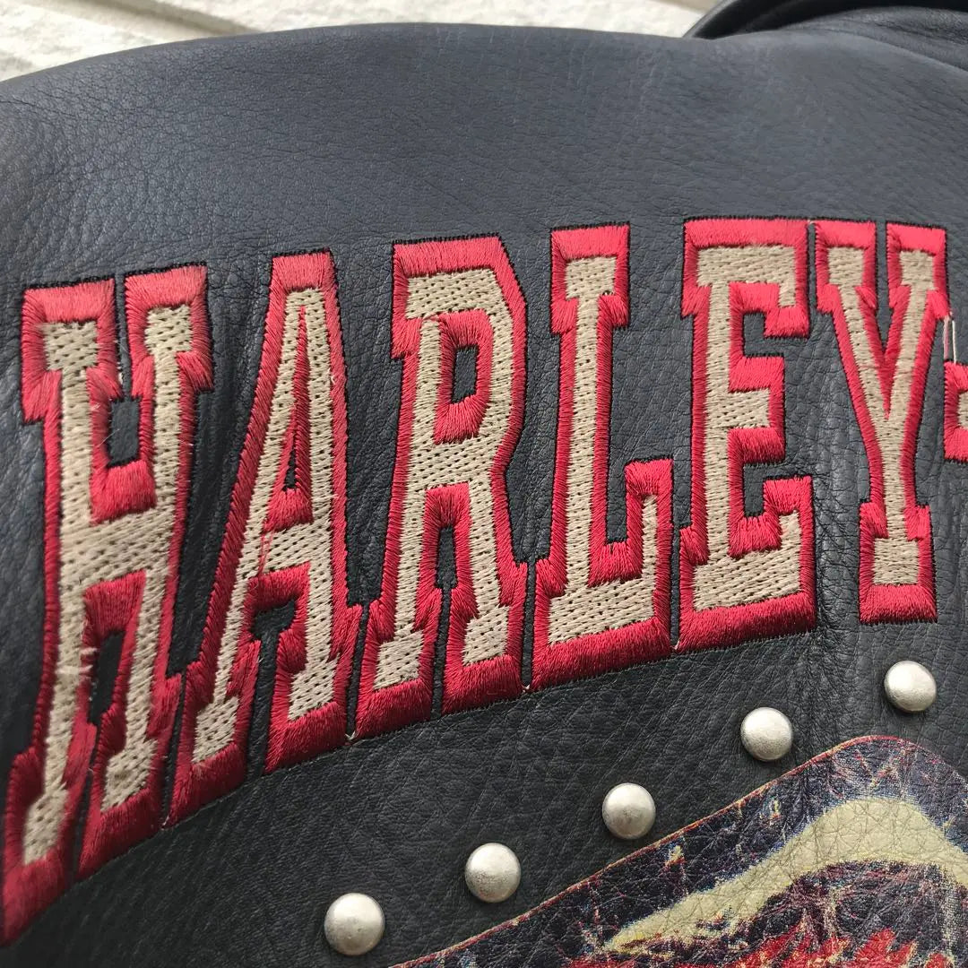 Harley Davidson Riders Black L Cowhide Studs Buck Logo Embroidery