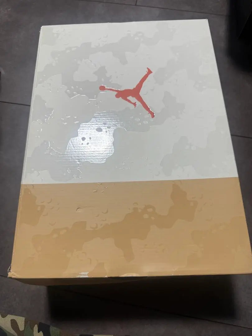 New Nike Air Jordan 3 TEX Desert Camo