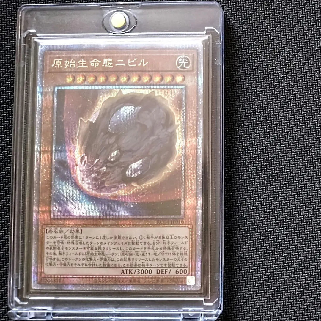 [With magnetic holder] Yu-Gi-Oh! Primitive Life Ecology Nibiru 25th Secret Kuoshiku