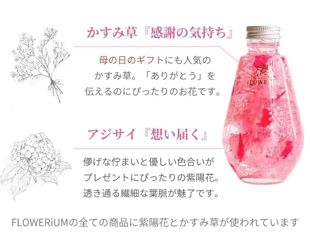 [New] Flowerium★Drop Herbarium Flower Decoration Fresh Flower Gift Bouquet