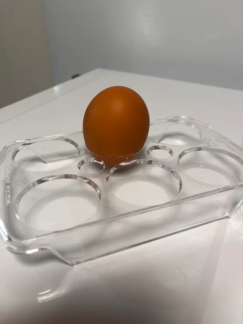 Egg holder