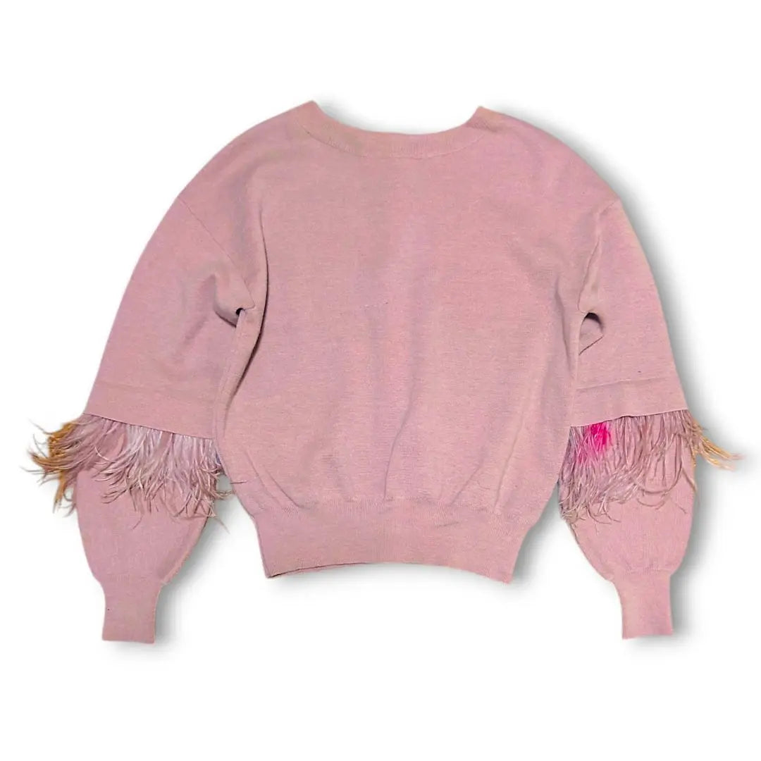 Jill Stuart Farmai Feather Sleeve Knit Tops Ladies FR | ジルスチュアート ファーマイアフェザー袖ニット トップス レディース FR