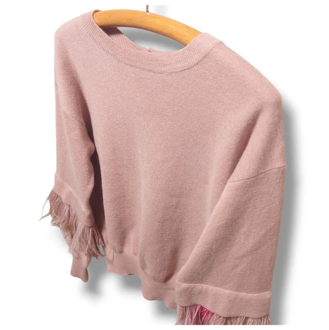 Jill Stuart Farmai Feather Sleeve Knit Tops Ladies FR | ジルスチュアート ファーマイアフェザー袖ニット トップス レディース FR