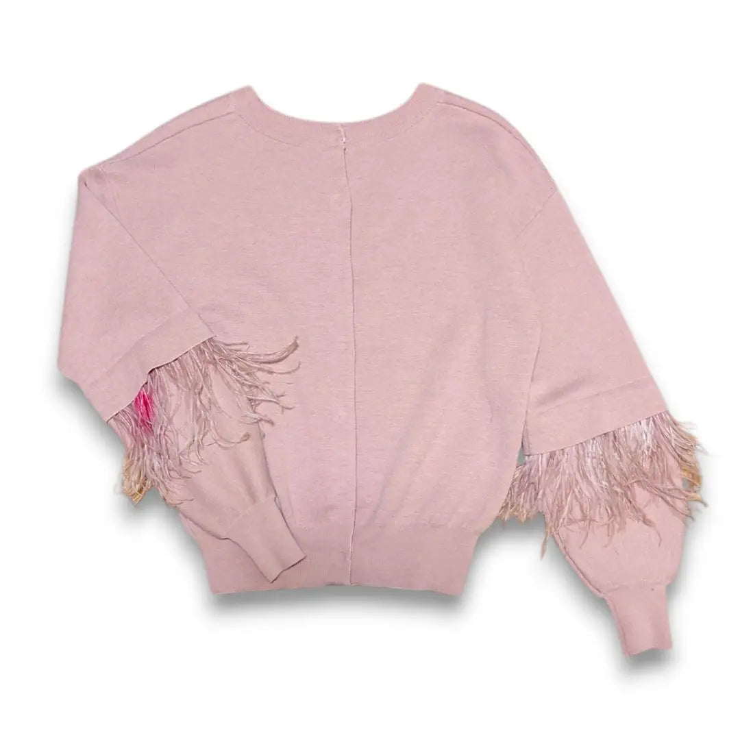 Jill Stuart Farmai Feather Sleeve Knit Tops Ladies FR | ジルスチュアート ファーマイアフェザー袖ニット トップス レディース FR