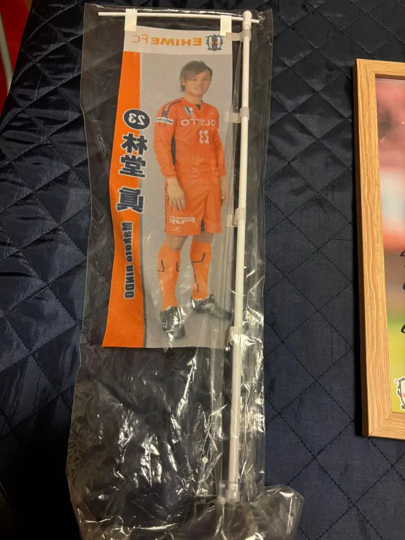 Conjunto de 2 piezas con marco firmado a mano del Ehime FC Makoto Hayashido Mini | 愛媛FC 林堂眞 ミニのぼり 直筆サイン入りフレーム 2点セット