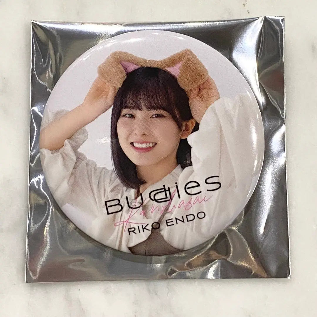 Sakurazaka46 buddies Thanksgiving 2025 Dog Coordination Can Badge Endo Riko