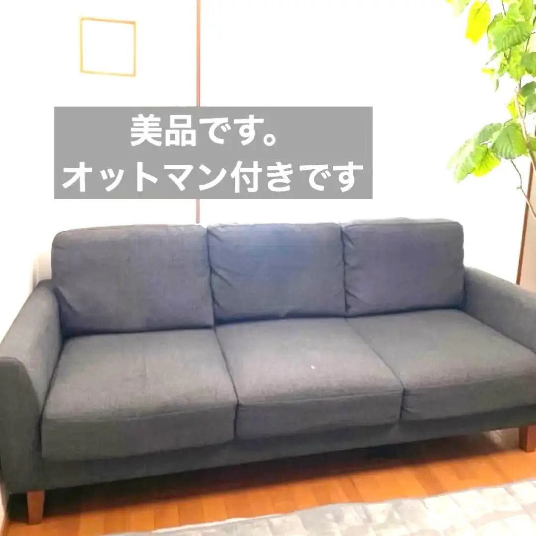 ★Shipping included★PHONO Momo Natural sofa with ottoman