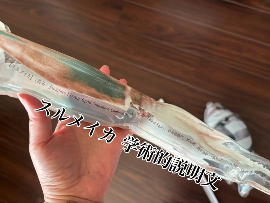 ★Super rare★Torepichi! Actual size [Seafood Picture Book] (Gacha gacha) Set of sardines and squid