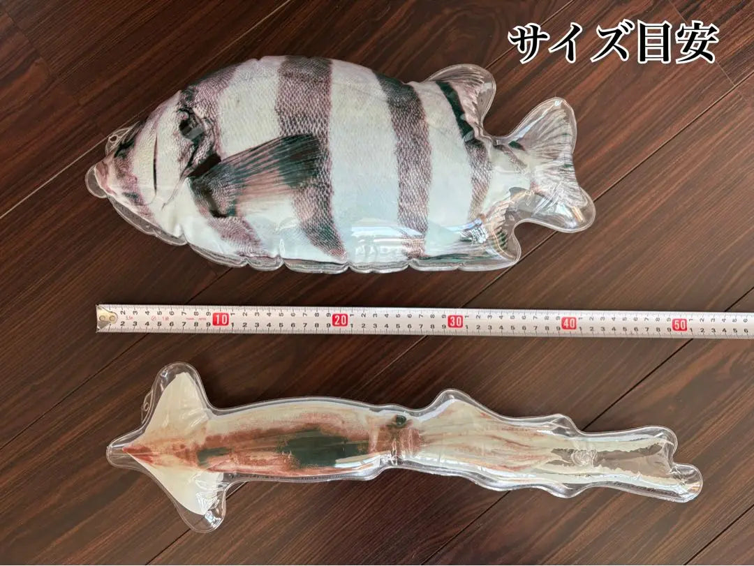 ★Super rare★Torepichi! Actual size [Seafood Picture Book] (Gacha gacha) Set of sardines and squid