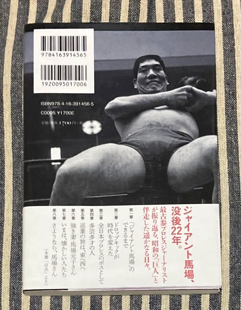 Giant on the Clouds: Giant Baba Book Bungeishunju