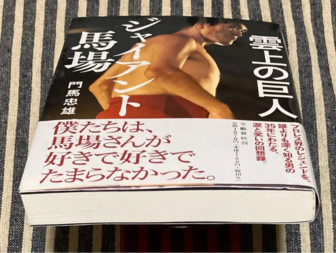 Giant on the Clouds: Giant Baba Book Bungeishunju