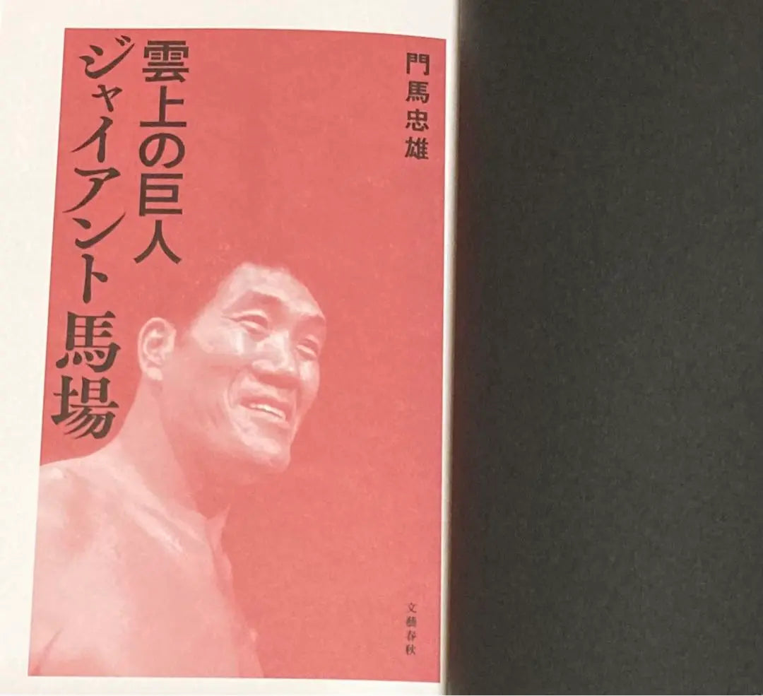 Giant on the Clouds: Giant Baba Book Bungeishunju