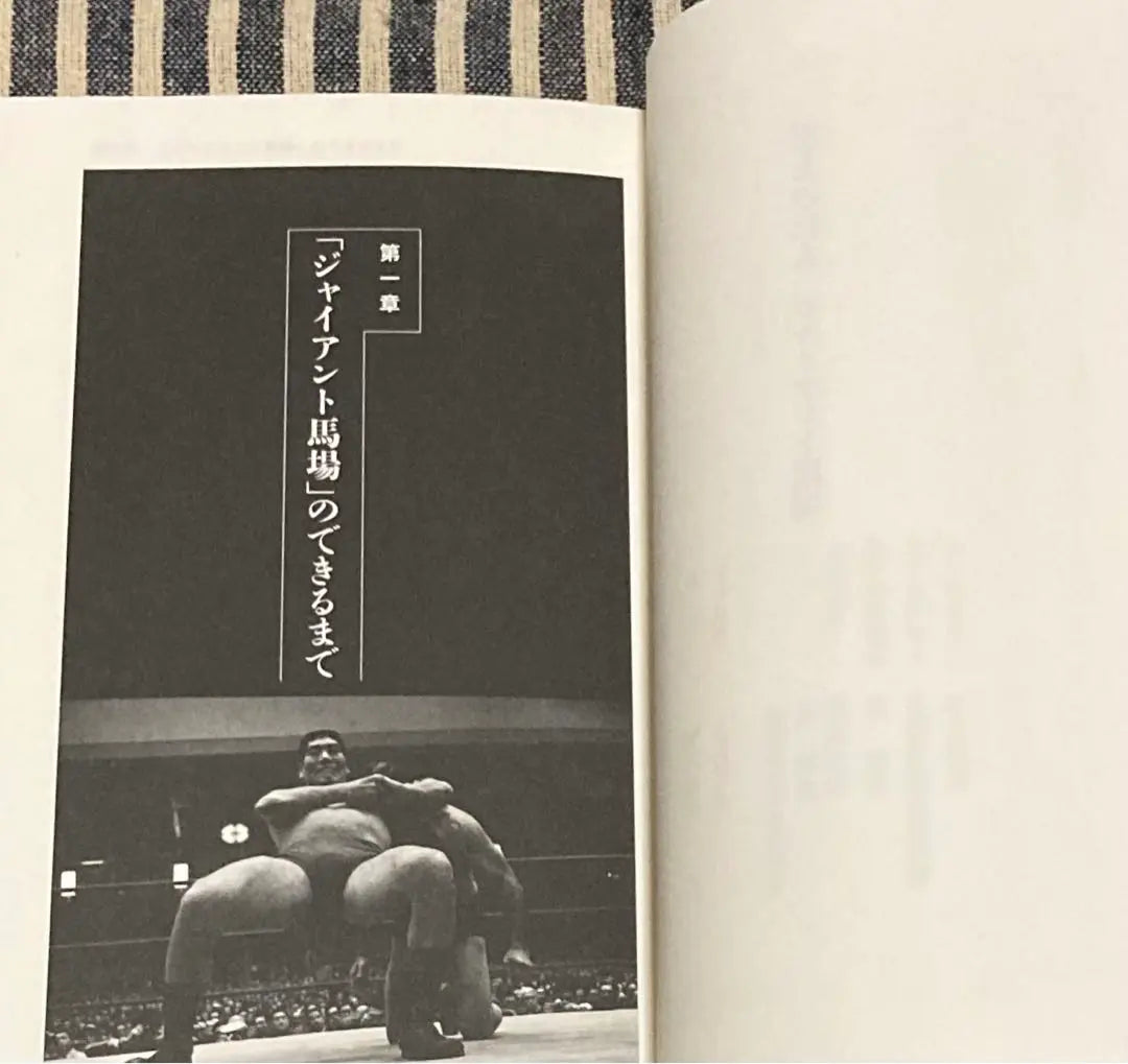 Giant on the Clouds: Giant Baba Book Bungeishunju