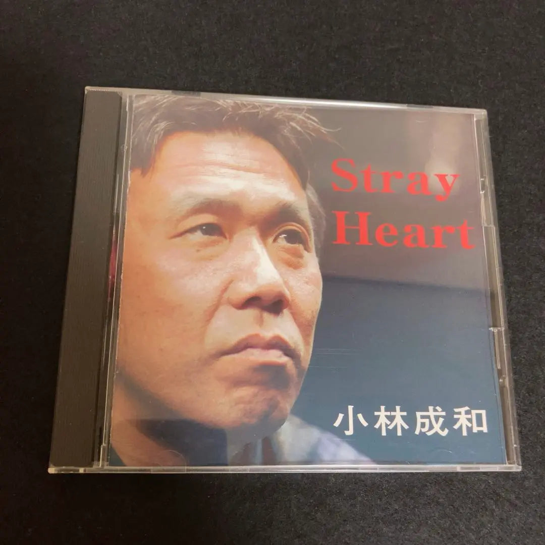 Seikazu Kobayashi / Corazón callejero | 小林成和 / Corazón callejero