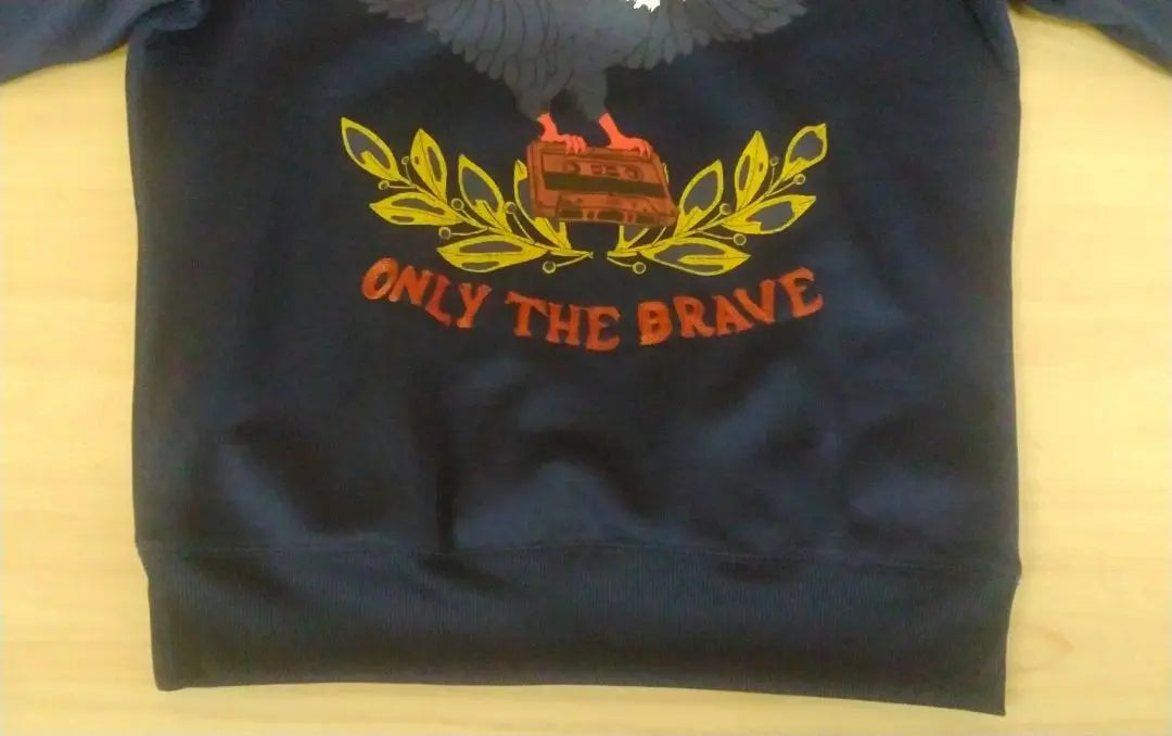 [Unused, anonymous delivery] DIESEL sweatshirt, eagle motif, print and embroidery