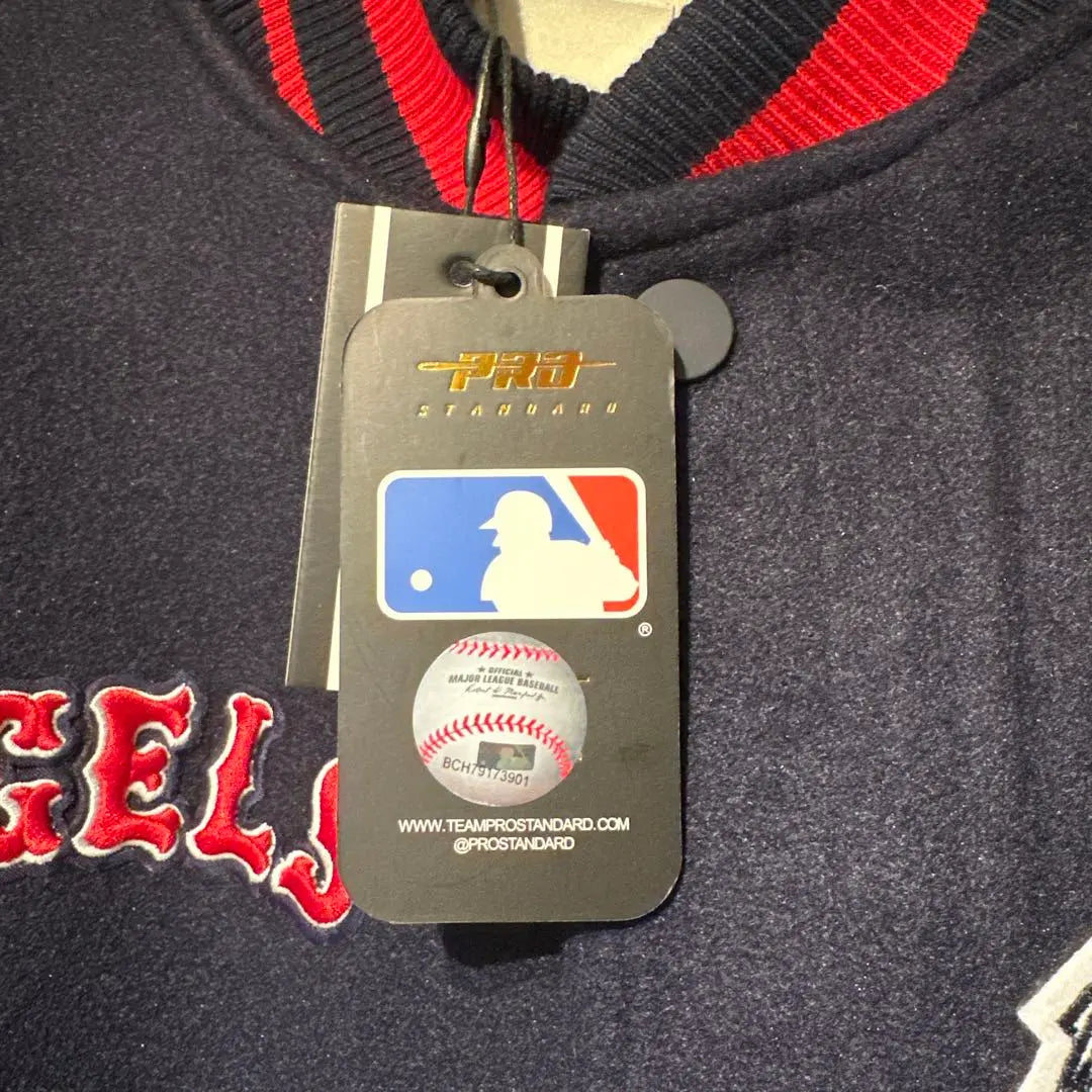 (New unused tag) Pro Standerd Angels Embroidery Stadium