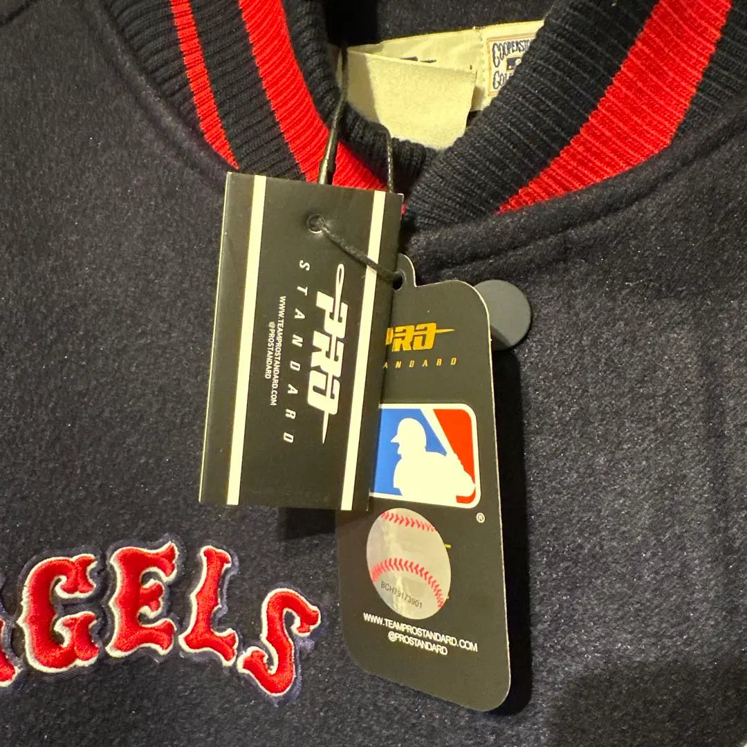 (New unused tag) Pro Standerd Angels Embroidery Stadium