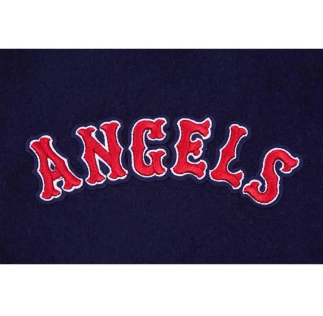 (New unused tag) Pro Standerd Angels Embroidery Stadium