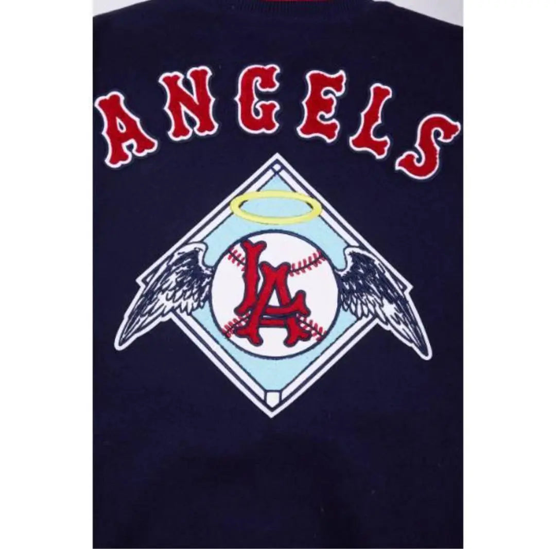 (New unused tag) Pro Standerd Angels Embroidery Stadium