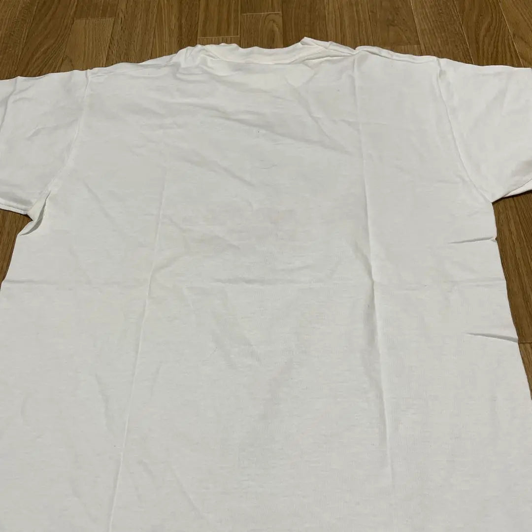 FRUIT OF THE ROOMFruit of the Room T-shirt Made in the USA Unused