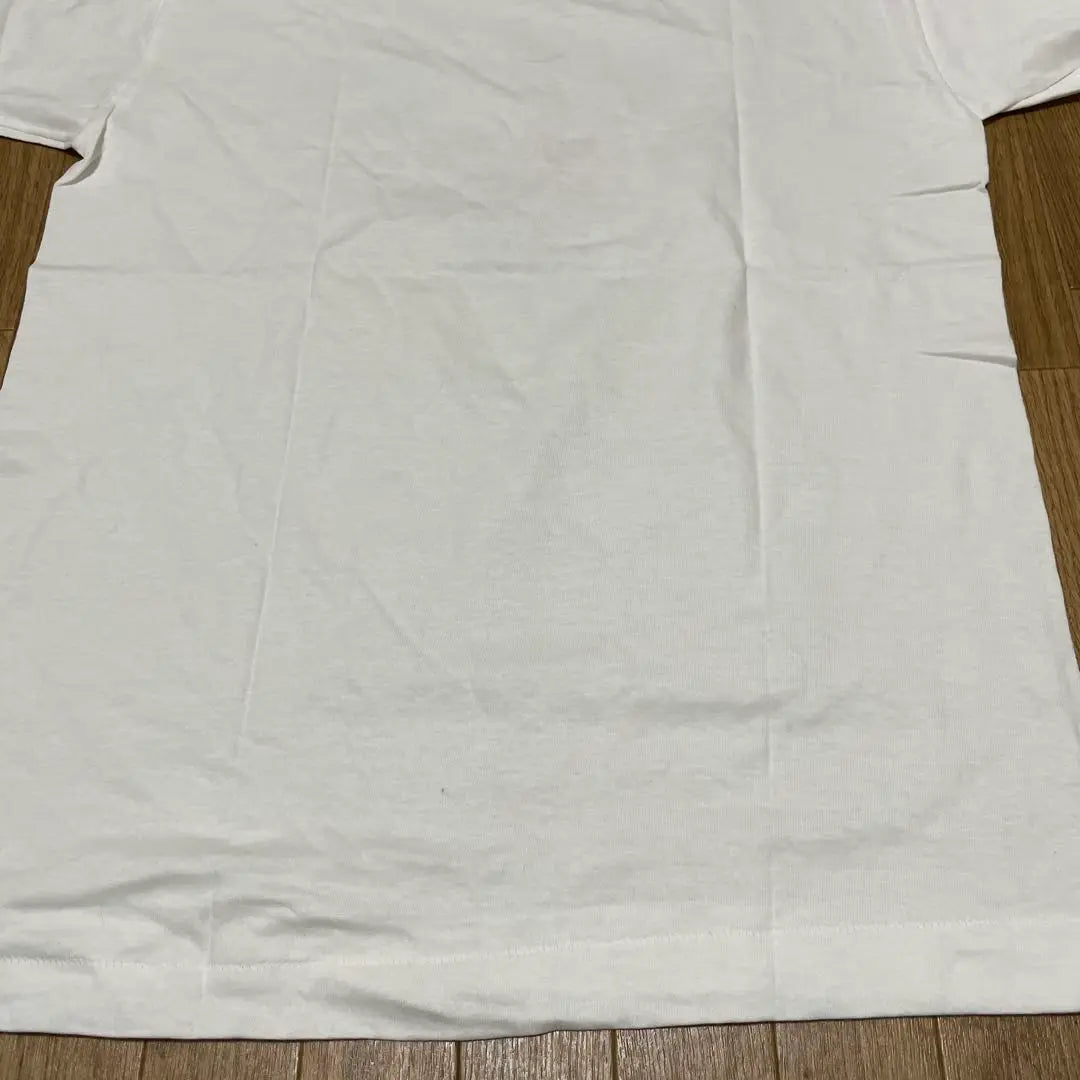 FRUIT OF THE ROOMFruit of the Room T-shirt Made in the USA Unused