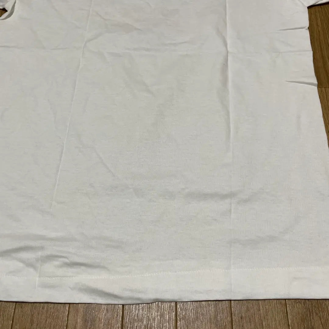 FRUIT OF THE ROOMFruit of the Room T-shirt Made in the USA Unused