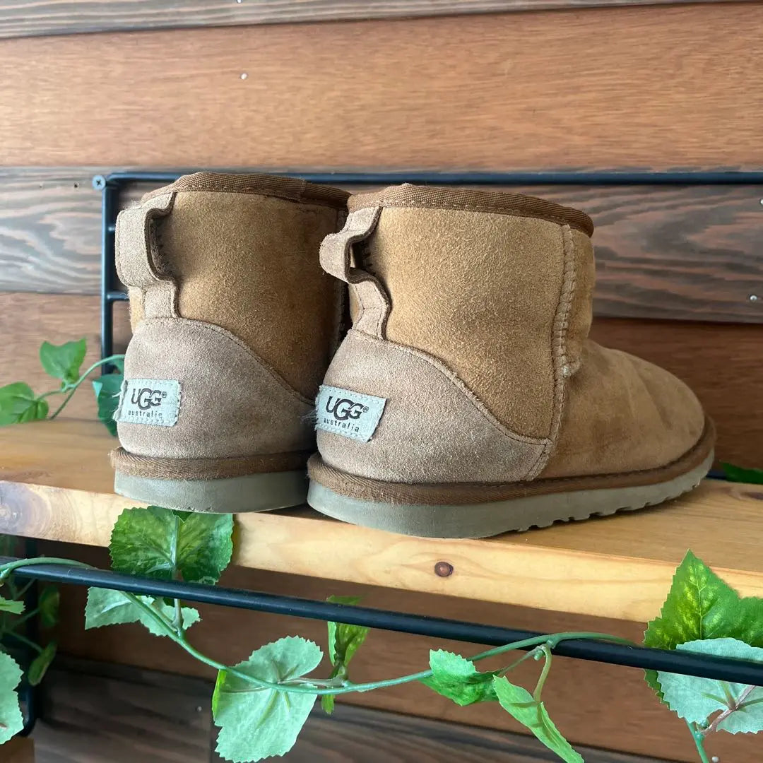 UGG Brown Mouton Boots