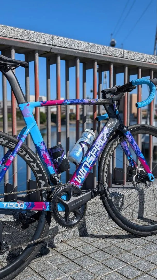 winspace t1500 frameset