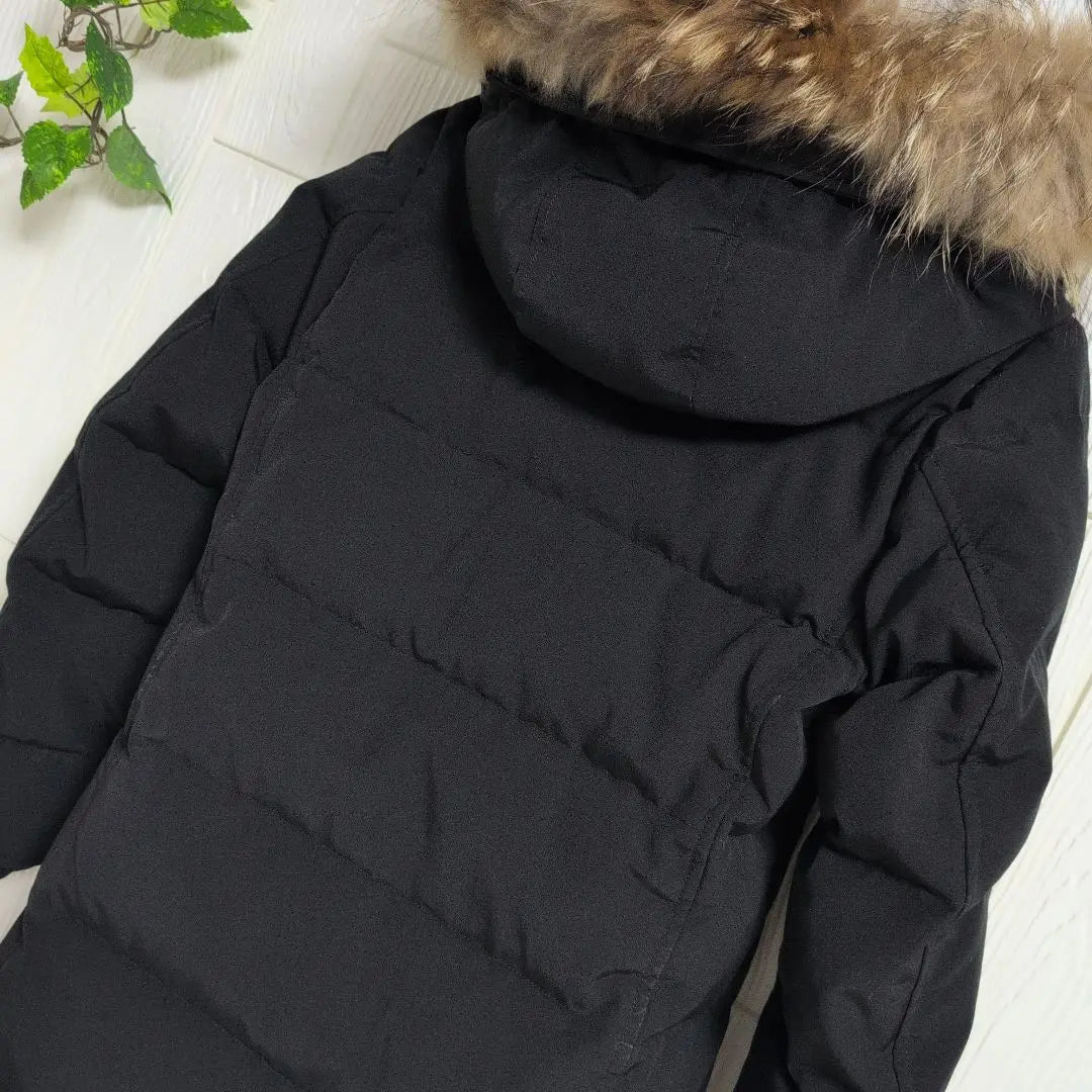 Chaqueta larga de plumón Danton DANTON, par de invierno 36