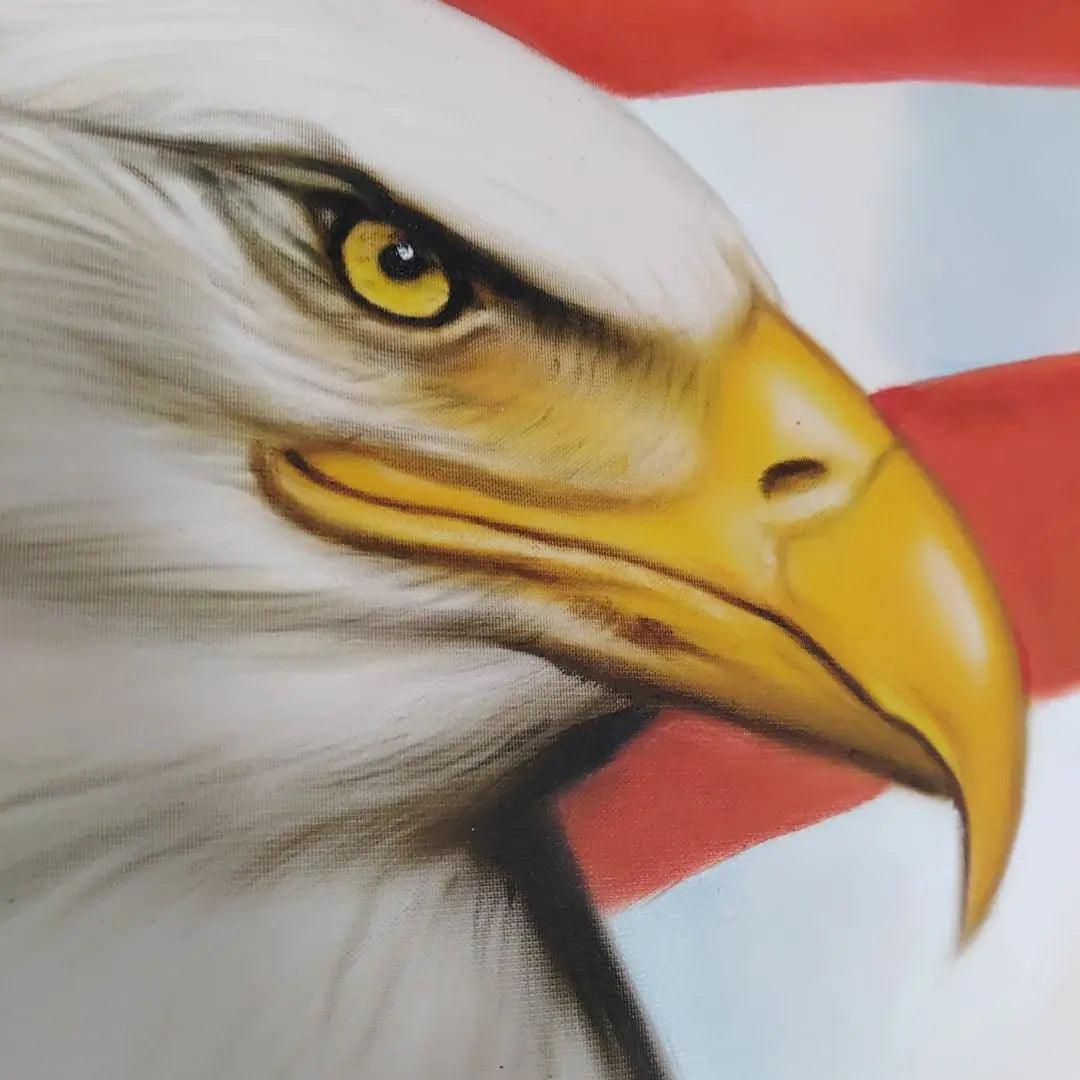 USA Flag Bald Eagle Design Painting Drawing Military US Spirit