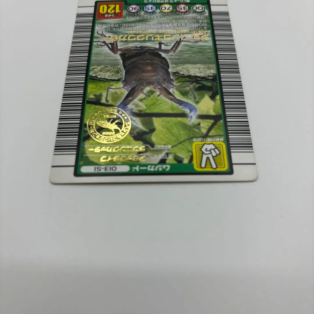 Mushiking Card Joe Saw Stag Beetle Collection Limited to First Grade Elementary School