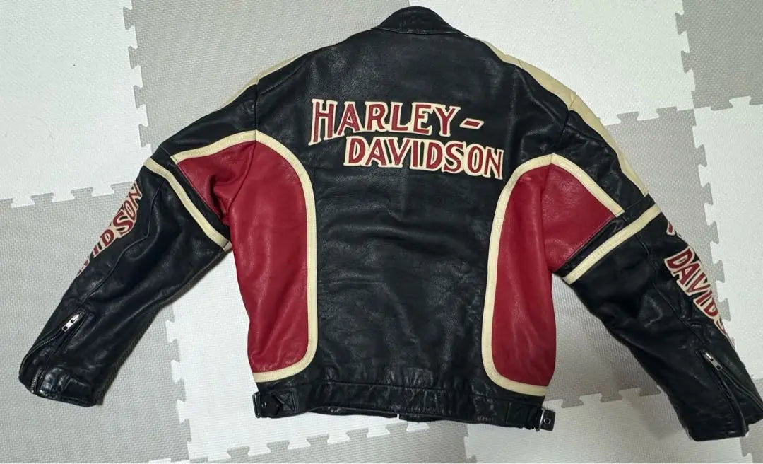 Popular difficult to get ✧HARLEY-DAVIDSON leather jacket vintage clothing cool