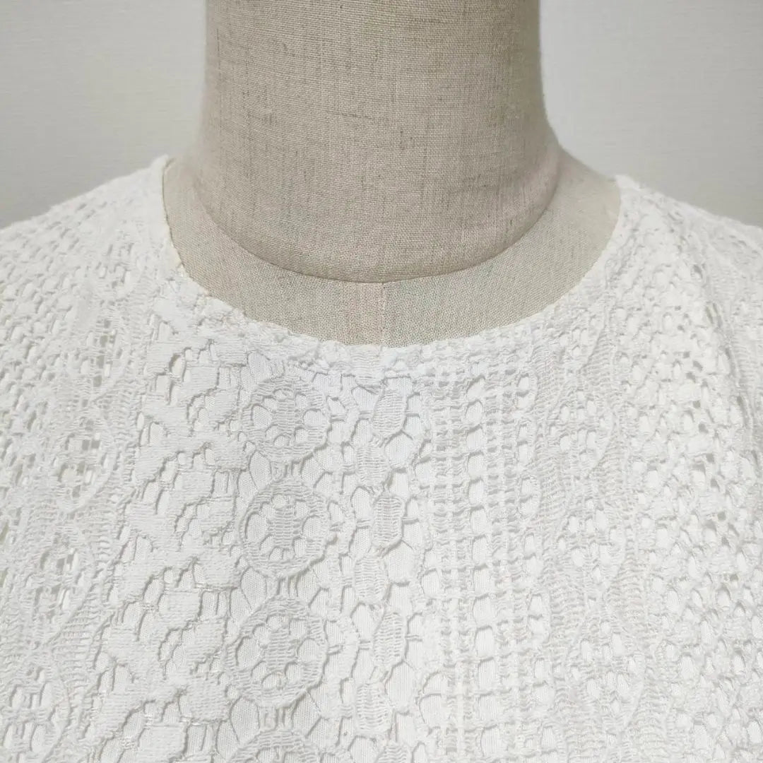 [Archives] Flare sleeve lace cut and sew S 1169