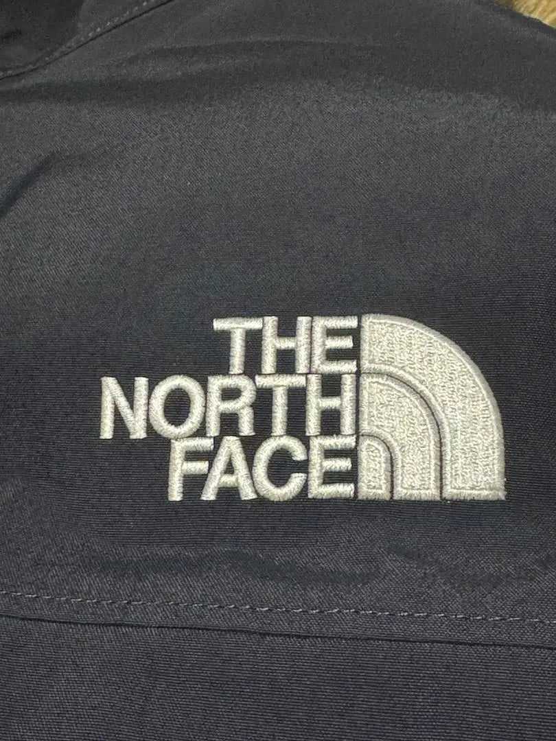 The North Face Down Jacket Antarctica Parka L