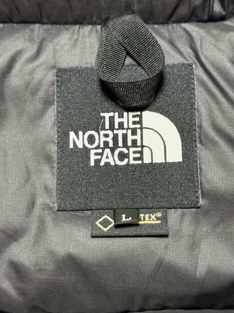 The North Face Down Jacket Antarctica Parka L