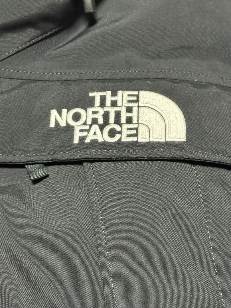 Chaqueta de plumas The North Face Antarctica Parka L