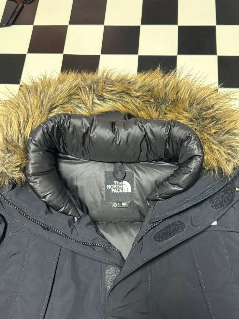 Chaqueta de plumas The North Face Antarctica Parka L