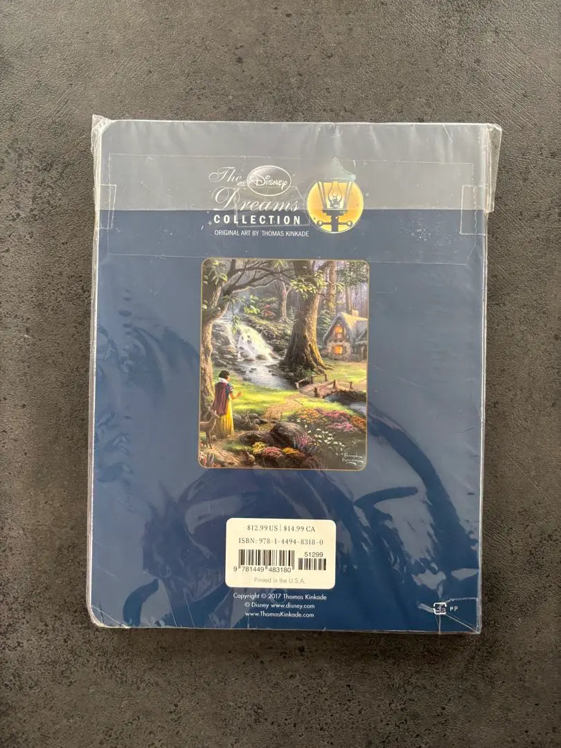 [New] Disney Thomas Kinkade Coloring Book