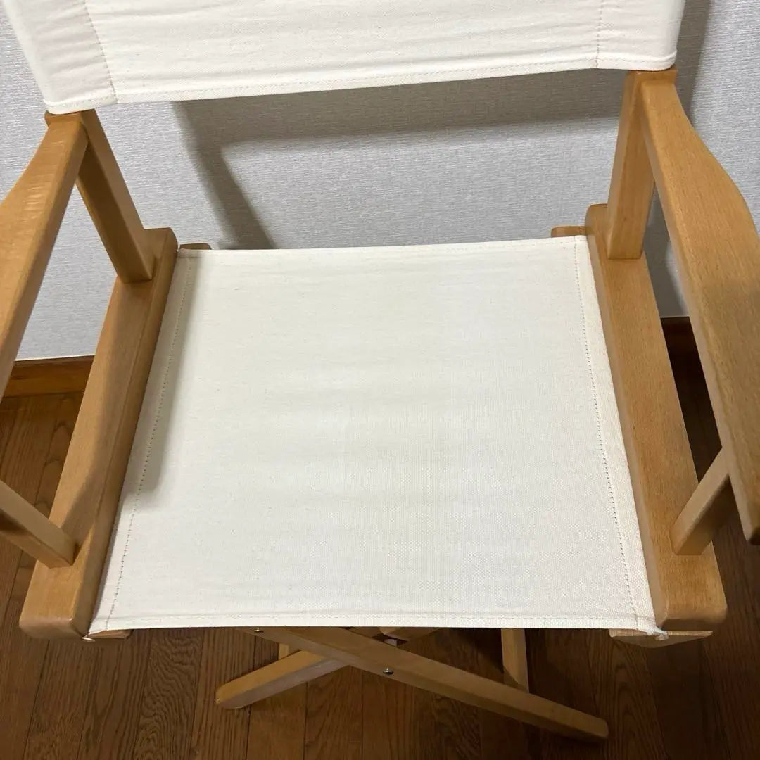 [Good condition] LaSedia Register P Chair