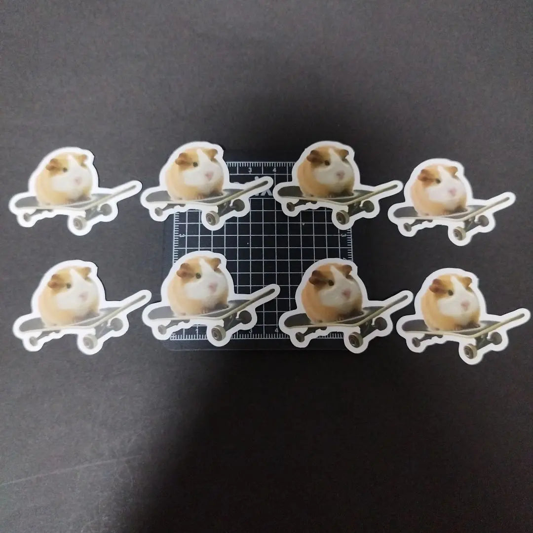 [Not waterproof] skateboard motto sticker seal